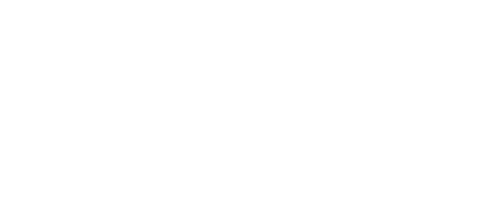 PortareBenelux_Logo_Diap